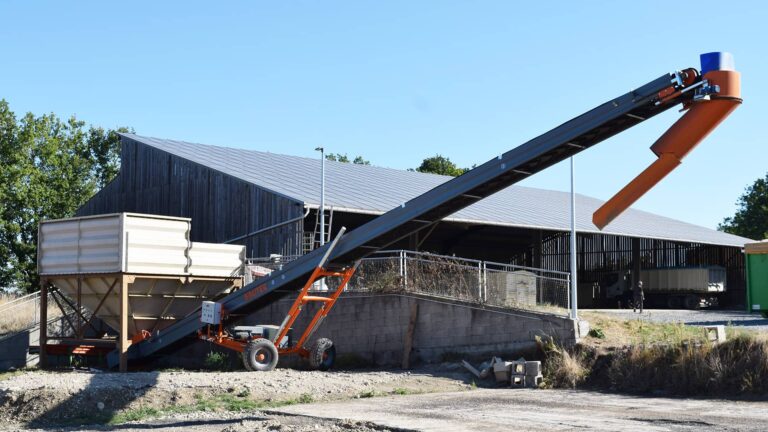 agricultural belt conveyor for handling grains