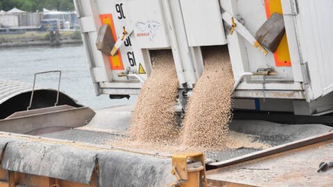 Unloading of grains – Truck unloader for cereals