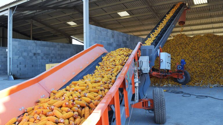 farm conveyor belt for corn storage