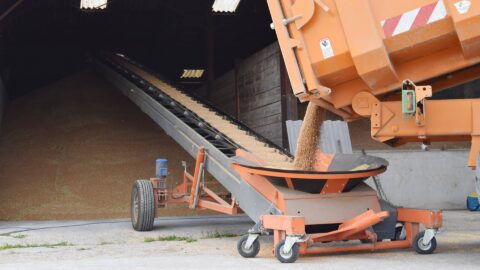 grains-conveyor-for-grain-storage