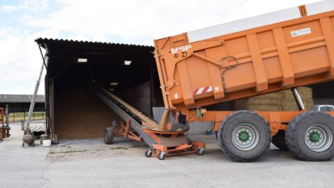 Grains conveyor