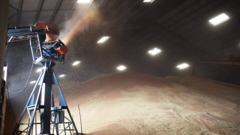 Sautec-grains-thrower