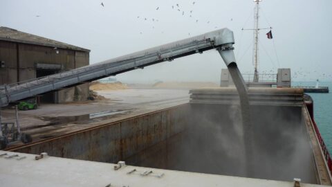 bulk-carrier-loading-sautec
