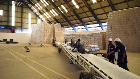 conveying-and-bags-storage