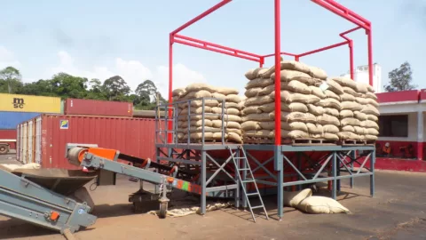 platform-for-depositing-pallets and-cutting-bags-on-conveyor