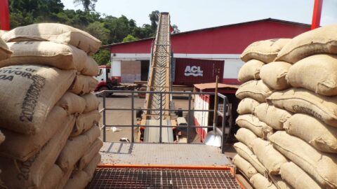 platform-bag-cutting-sautec