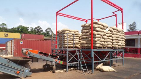 platforms-for-depositing-and-cutting-bags