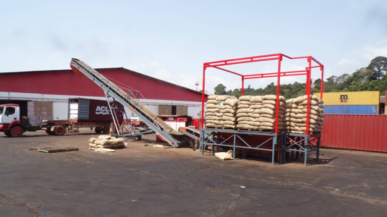 SAUTEC system for filling bulk cocoa beans into a container