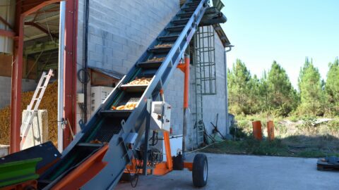 agricultural-elevator-belt