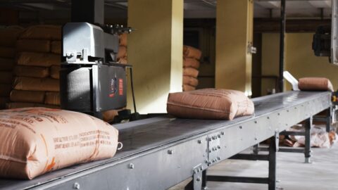 conveyor belt for bags