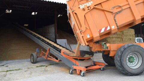 grain-belt-conveyor-hire